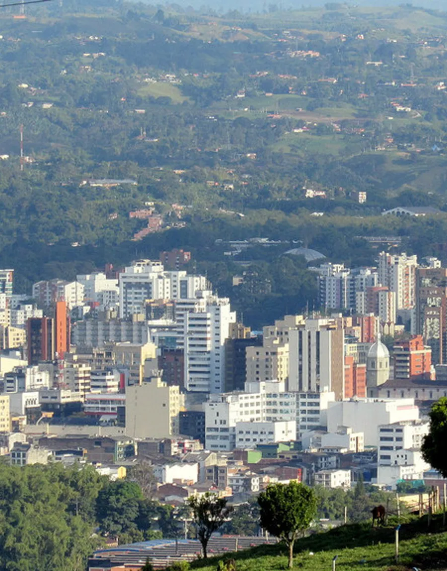 Pereira